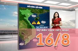 [Video] Dự báo thời tiết ngày 16/8/2026: Bắc Bộ giảm mưa, miền Trung nắng nóng
