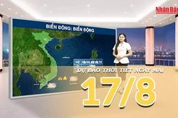 [Video] Dự báo thời tiết đêm nay và ngày mai 17/8/2026: Bắc Bộ đón mưa lớn, Trung Bộ nắng nóng