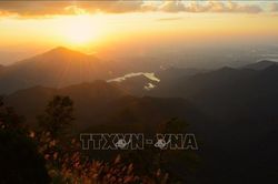 Từ câu chuyện quản lý Bạch Mã