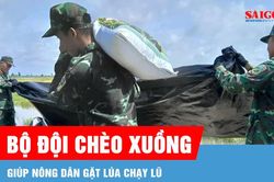 Bộ đội chèo xuồng, giúp nông dân gặt lúa chạy lũ