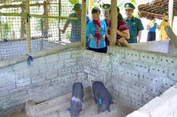 Đồng hành cùng phụ nữ biên cương tại tỉnh Nghệ An
