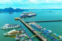 Quảng Ninh lại tính đấu thầu khai thác vịnh Hạ Long