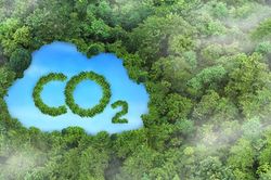 Mở rộng cánh cửa hội nhập quốc tế cho thị trường carbon Việt Nam
