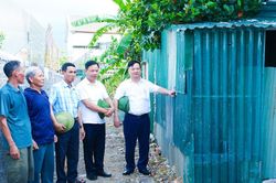 Nghệ An phát huy vai trò cán bộ, đảng viên đi trước trong những việc khó ở cơ sở