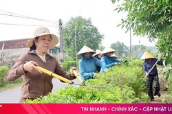 Những tuyến đường làm thay đổi diện mạo xã Cẩm Lạc
