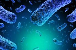 AI tạo virus có khả năng tiêu diệt vi khuẩn kháng thuốc