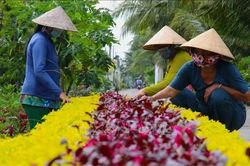 Phụ nữ ph&aacute;t triển kinh tế xanh
