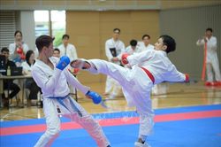 Sôi động Giải Karate người Việt tại Nhật Bản