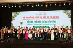 Kết nối sản xuất, tiêu thụ, xây dựng hệ sinh thái sầu riêng bền vững
