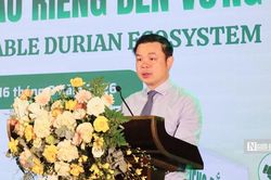 Ngành sầu riêng Đắk Lắk lấy chất lượng, hiệu quả, đổi mới làm động lực cốt lõi