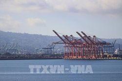 Xuất khẩu Brazil sang Mỹ lao dốc do tác động của thuế quan