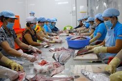 Phụ nữ Cần Thơ xanh hóa sinh kế