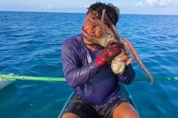 Vừa kéo loài sinh vật lên khỏi mặt nước, ngư dân gặp sự cố không ai ngờ tới