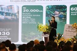Liên kết chuỗi, chìa khóa để cà phê Việt đáp ứng EUDR