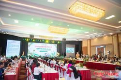Sầu riêng trước yêu cầu nâng tầm giá trị xuất khẩu