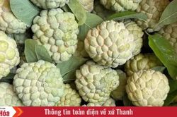 Ký ức mùa na