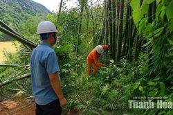 Đảm bảo an toàn hành lang lưới điện mùa mưa bão ở miền núi