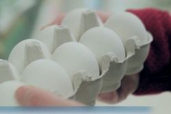 Mỹ thu hồi gần 19 triệu quả trứng do nguy cơ nhiễm khuẩn