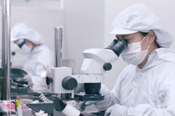Thực hiện Nghị quyết 68 của Bộ Chính trị: Xây dựng hệ sinh thái hỗ trợ doanh nghiệp