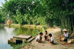Bờ tre gió hát