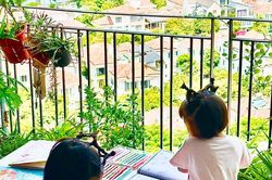 Thế hệ căn hộ