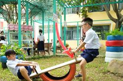 Di sản xanh nơi sân trường