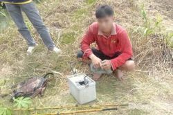 Đồng Tháp: Tập trung ngăn chặn khai thác thủy sản tận diệt