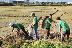 Hướng dẫn các tiêu chí môi trường trong xây dựng nông thôn mới giai đoạn 2026 - 2030