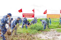 Nhiều hoạt động Ngày Chủ nhật xanh tại đặc khu Trường Sa