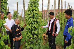 Lâm Đồng đẩy mạnh tuyên truyền 3 nhiệm vụ trọng tâm