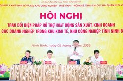 Phát triển Khu Kinh tế Ninh Cơ theo hướng xanh và bền vững