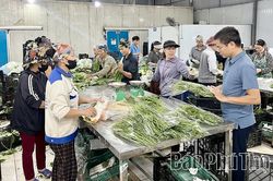 Hành trình nâng tầm nông sản