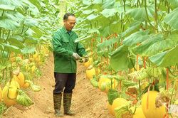 Những đảng viên tiên phong phát triển kinh tế ở vùng cao