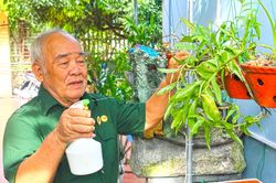 Người lính già và những ký ức không thể nào quên