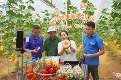 Bạch Thông mở 'Phiên chợ Nông sản số'