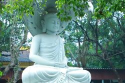 Thơ Trần Quê Hương: Khuyết mà tròn