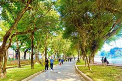 Cần một chuẩn chung để công viên, cây xanh thực sự là không gian dành cho người dân