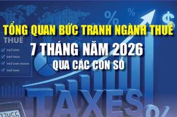 Infographics: Tổng quan bức tranh ngành Thuế 7 tháng năm 2026 qua các con số