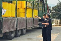 Hải quan khuyến nghị doanh nghiệp chủ động đáp ứng tiêu chuẩn thực phẩm xuất khẩu sang EU