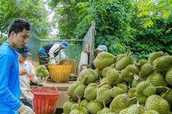 Chính quyền không đứng ngoài cuộc trước những khó khăn của doanh nghiệp và nông dân