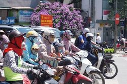 Hà Nội tiếp tục oi nóng ngày cuối tuần