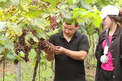 Doanh nghiệp nhỏ v&agrave; vừa vẫn kh&oacute; tiếp cận vốn vay