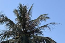 Thời tiết 7 ng&agrave;y tới: Bắc - Nam mưa to, Trung Bộ giảm n&oacute;ng