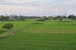 Đồng Nai chuyển hơn 1.600 m² đất trồng lúa để phục vụ hoạt động khoáng sản