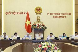Tích hợp Chương trình mục tiêu quốc gia để khắc phục chồng chéo, dàn trải