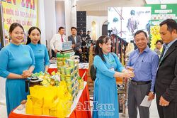 Ðộng lực mới phát triển kinh tế tư nhân