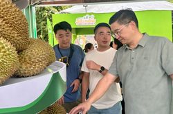 400 gian hàng kết nối ngành hàng sầu riêng Đắk Lắk
