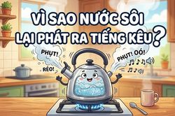 Vì sao nước sôi lại phát ra tiếng kêu?