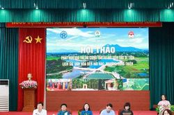 Tùng Thiện: Gìn giữ giá trị Đền Hải Hạc từ cộng đồng