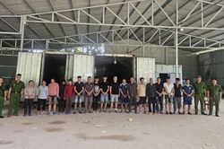 Khởi tố 18 người liên quan vụ vận chuyển hơn 5,3 tấn chân giò lợn đông lạnh qua biên giới